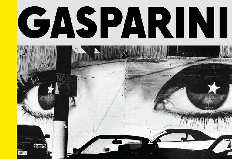 Gasparini: Field of Images, Inbunden
