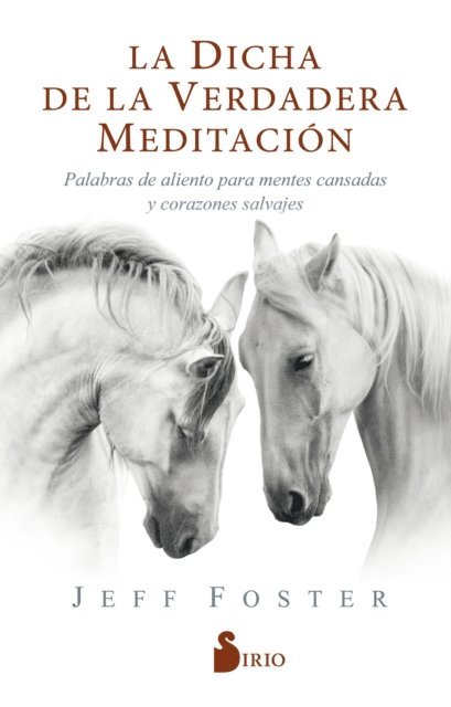 Jeff Foster - La dicha de la verdadera meditación, E-bok