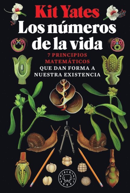 Kit Yates - Los números de la vida, E-bok