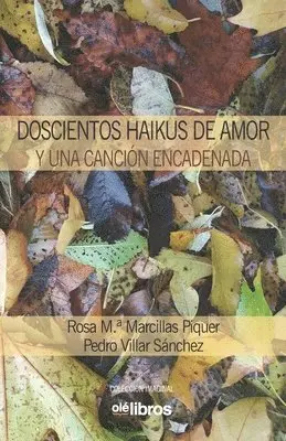 Pedro Villar Sánchez, Rosa Ma Marcillas Piquer - Doscientos haikus de amor y una canción encadenada, Häftad. Tillgänglighet: Lägg i varukorg