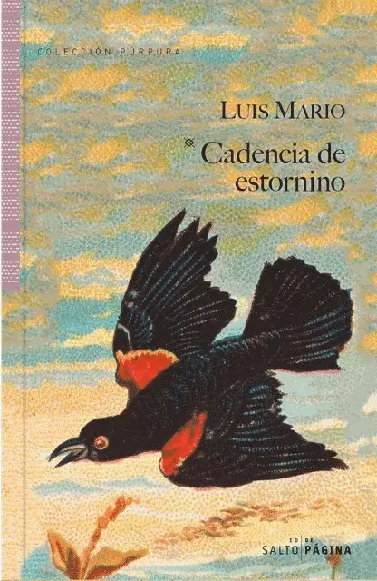 Luis Mario - Cadencia de estornino, E-bok. Tillgänglighet: Lägg i varukorg
