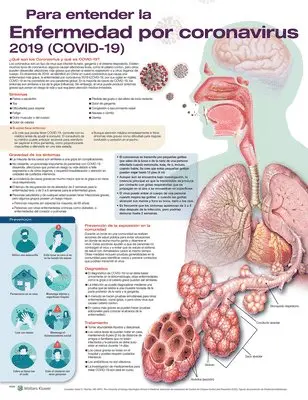 Anatomical Chart Company - Para entender la Enfermedad por coronavirus 2019 (COVID-19). Tillgänglighet: Tillfälligt slut