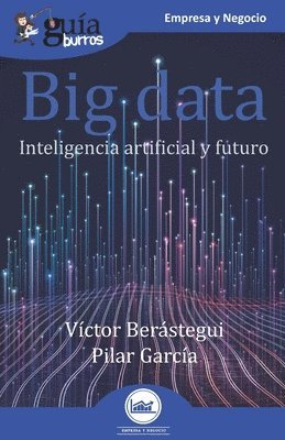 Pilar García, Víctor Berástegui - GuíaBurros Big data, Häftad
