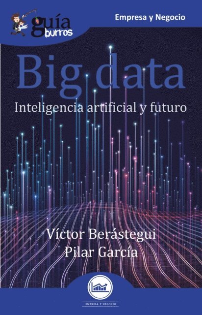 Pilar Garcia, Victor Berastegui - GuíaBurros Big data, E-bok