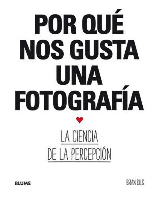 Brian Dilg - Por qué nos gusta una fotografía, E-bok