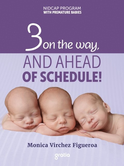 Monica Virchez Figueroa - 3 On The Way, E-bok