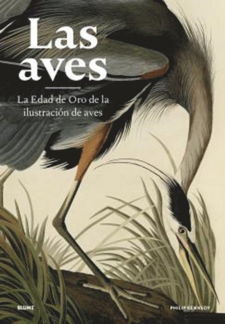 Philip Kennedy - Las aves, E-bok