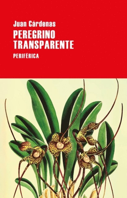 Juan Cardenas - Peregrino transparente, E-bok. Tillgänglighet: Lägg i varukorg