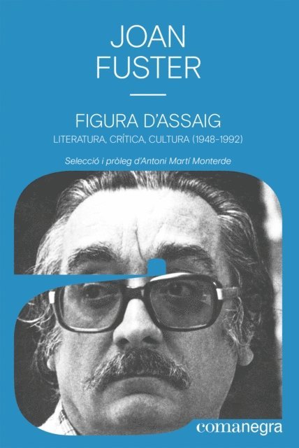 Joan Fuster - Figura d'assaig, E-bok