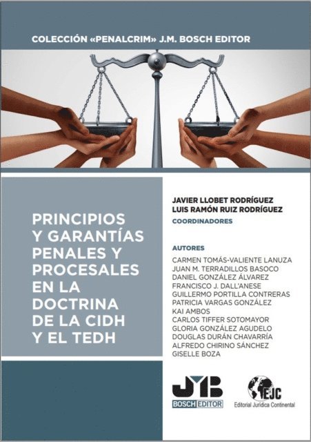 Patricia Vargas Gonzalez, Gloria Gonzalez Agudelo, Giselle Boza, Francisco J Dall'Anese, Douglas Duran Chavarria, Daniel Gonzalez Alvarez, Alfredo Chirino Sanchez, Carlos Tiffer Sotomayor, Guillermo Portilla Contreras, Juan M Terradillos Basoco, Carmen Tomas Valiente Lanuza, Kai Ambos - Principios y garantías penales y procesales en la doctrina de la CIDH y el TEDH, E-bok