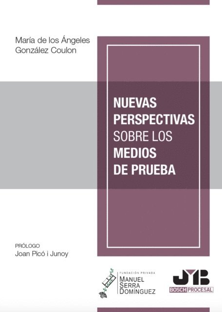 Maria de los Angeles Gonzalez Coulon - Nuevas perspectivas sobre los medios de prueba, E-bok