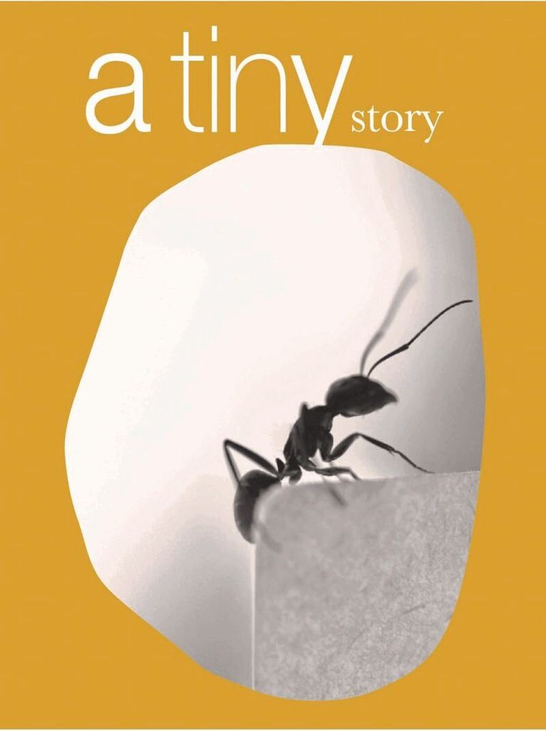 Fernando Maquieria - Fernando Maquieira: A Tiny Story, Inbunden