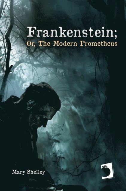 Mary Shelley - Frankenstein; Or, The Modern Prometheus, E-bok