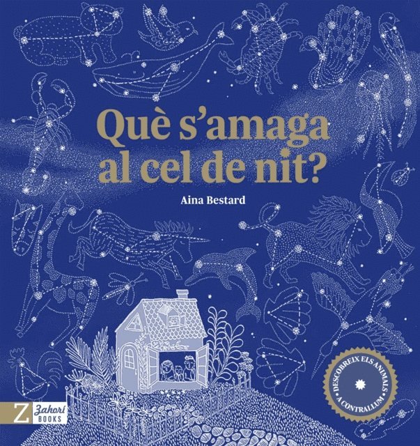 Aina Bestard - Què s'amaga al cel de nit?, E-bok