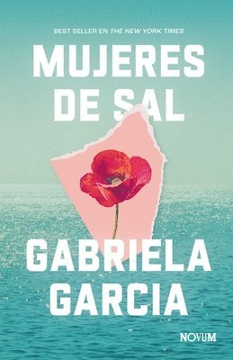 Gabriela Garcia - Mujeres de Sal, Inbunden