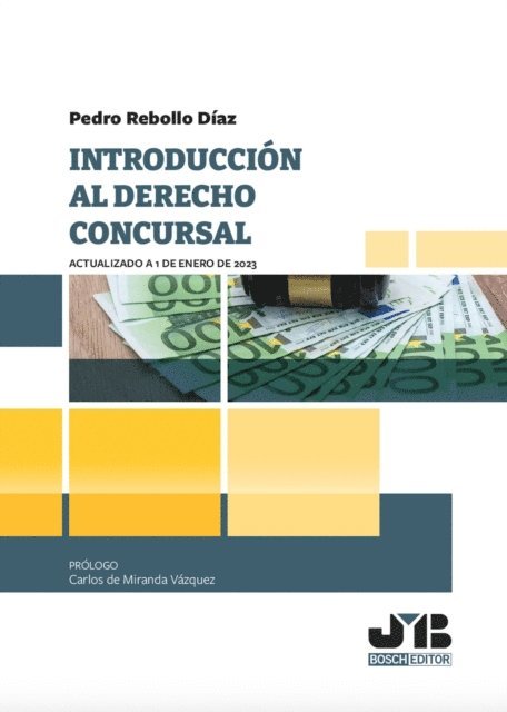 Pedro Rebollo Diaz - Introducción al Derecho Concursal, E-bok