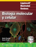 LIR. Biolog�a molecular y celular