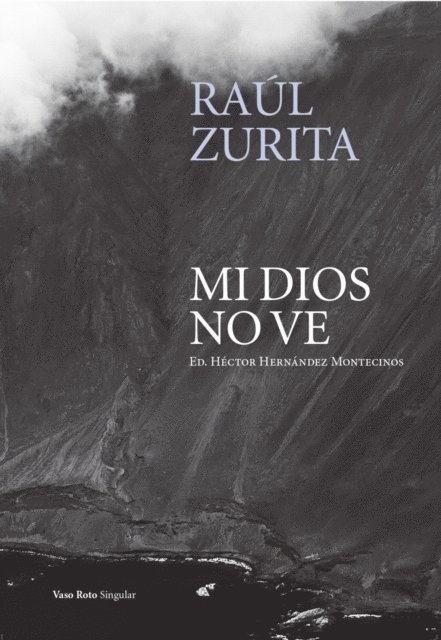 Raul Zurita, Hector Hernandez Montecinos - Mi Dios no ve, E-bok