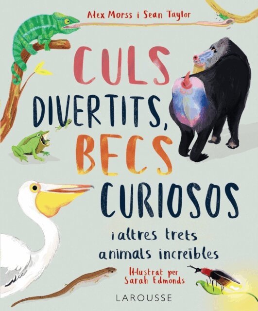 Sean Taylor, Alex Morss - Culs divertits, becs curiosos, E-bok