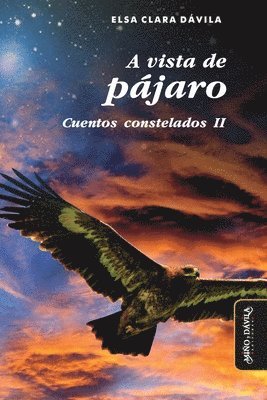 Elsa Clara Dávila - A vista de pájaro, Häftad