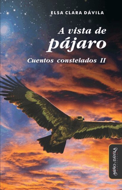 Elsa Clara Davila - A vista de pájaro, E-bok