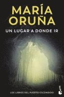 Maria Oruña - Un lugar a donde ir, Häftad