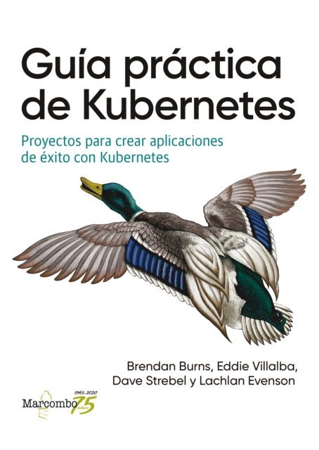Lachlan Evenson, Dave Strebel, Eddie Villalba, Brendan Burns - Guía práctica de Kubernetes, E-bok