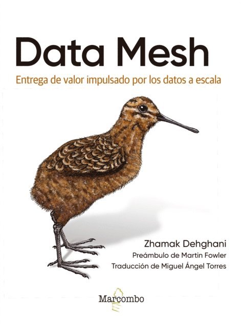 Zhamak Dehghani - Data Mesh, E-bok