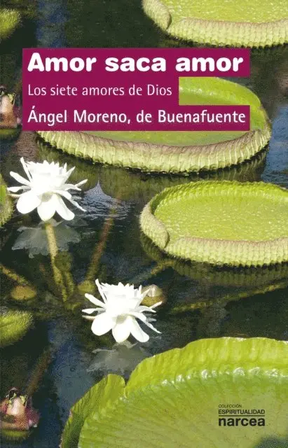 Angel Moreno de Buenafuente - Amor saca amor, E-bok. Tillgänglighet: Lägg i varukorg