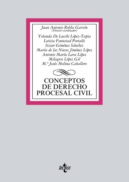Mª Jesus Molina Caballero, Milagros Lopez Gil, Antonio Maria Lara Lopez, Maria de las Nieves Jimenez Lopez, Itziar Gimenez Sanchez, Leticia Fontestad Portales, Yolanda de Lucchi Lopez-Tapia, Juan Antonio Robles Garzon - Conceptos de Derecho procesal civil, E-bok