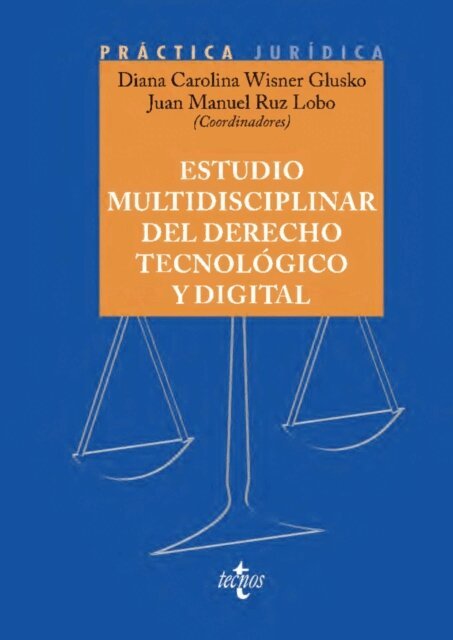 Gabriele Vestri, Silvia Verdugo Guzman, Alfonso Tena Venegas, Elisa Sobrino Crespo, Enrique Manuel Puerta Dominguez, Ana Ochoa Casteleiro, Maria Perez Naranjo, Victor Moreno Soler, Lola Montero Santos, Juan Pablo Maldonado Montoya, Maria Elena Lopez Gonzalez, Juan Carlos Hernandez Buades, Felipe Garcia de Pesquera Gago, Juan Manuel Ruz Lobo, Diana Carolina Wisner Glusko - Estudio multidisciplinar del Derecho tecnologico y digital, E-bok