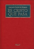 Es Cristo que pasa