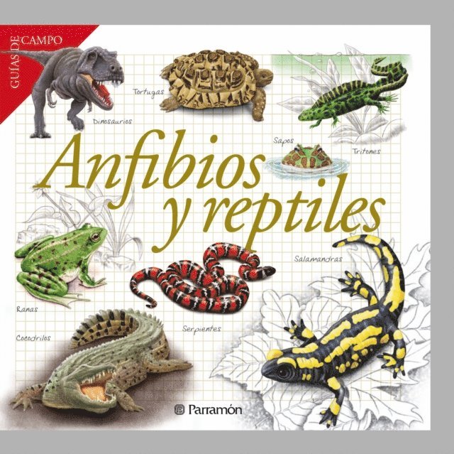 Maria Angels Julivert - Anfibios y reptiles, E-bok. Tillgänglighet: Lägg i varukorg