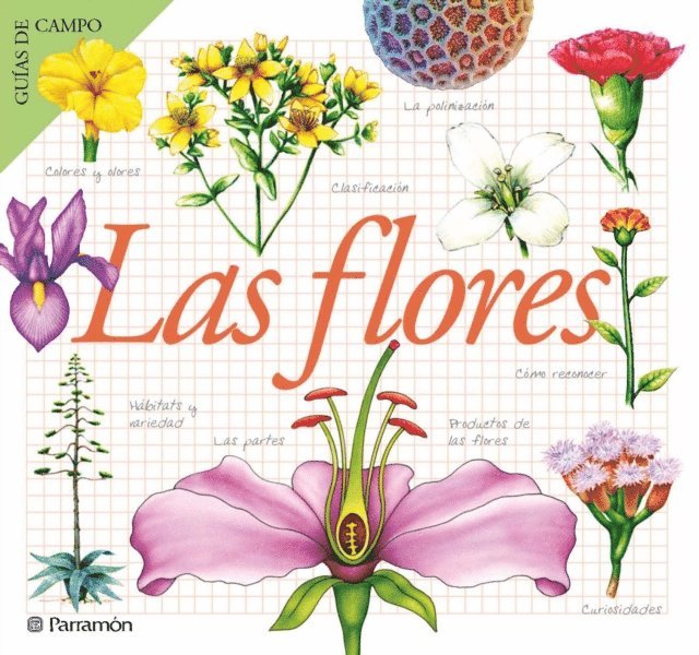 Maria Angels Julivert - Las flores, E-bok. Tillgänglighet: Lägg i varukorg