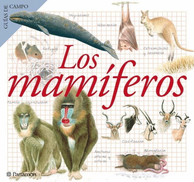 Maria Angels Julivert - Los mamíferos, E-bok. Tillgänglighet: Lägg i varukorg