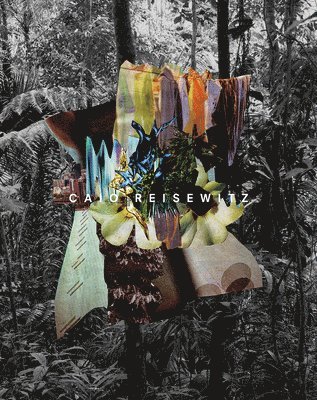 Caio Reisewitz: Disorder, Inbunden