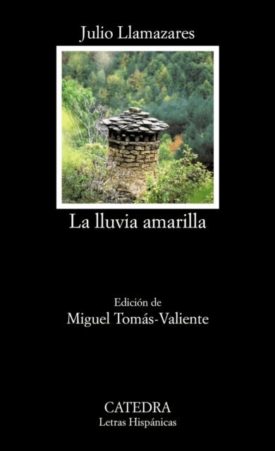 Julio Llamazares - La lluvia amarilla, E-bok