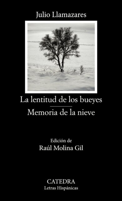 Julio Llamazares - La lentitud de los bueyes; Memoria de la nieve, E-bok