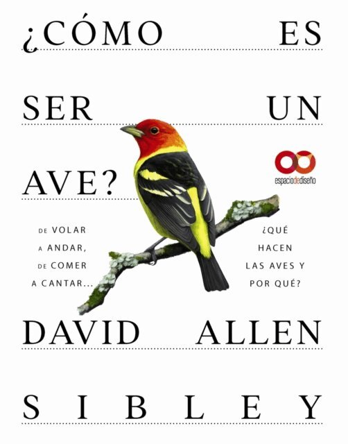 David Allen Sibley - Como es ser un ave? De volar a anidar, de comer a cantar...  Que hacen las aves y por que?, E-bok