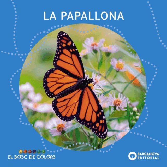 Maria Soliva, Rosa Gil, Estel Baldo - La papallona, E-bok