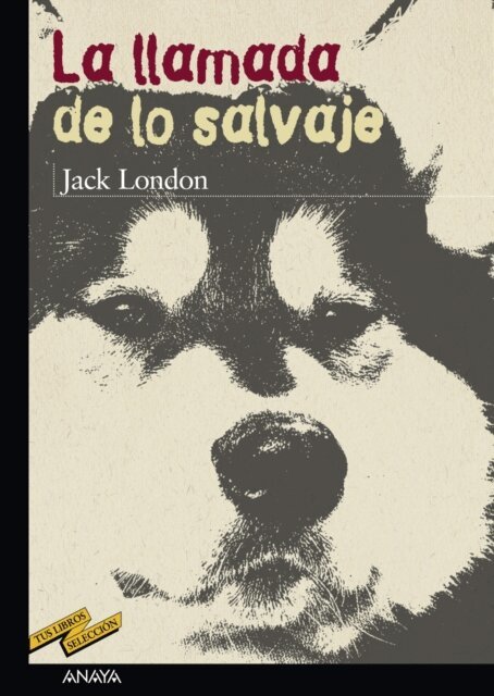 Jack London - La llamada de lo salvaje, E-bok