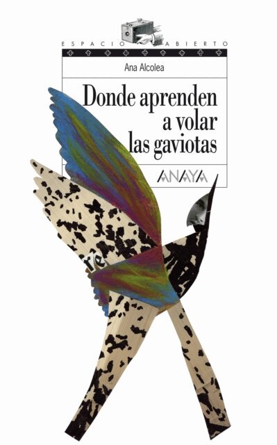 Ana Alcolea - Donde aprenden a volar las gaviotas, E-bok