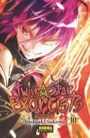 TWIN STAR EXORCISTS: ONMYOUJI 10, Häftad