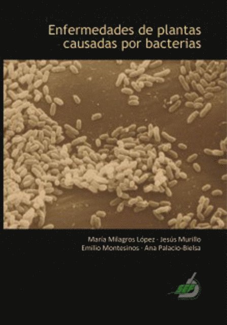 Ana Palacio-Bielsa, Emilio Montesinos, Jesus Murillo, Maria Milagros Lopez - Enfermedades de plantas causadas por bacterias, E-bok