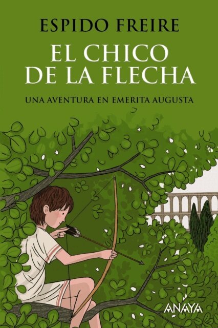 Espido Freire - El chico de la flecha, E-bok