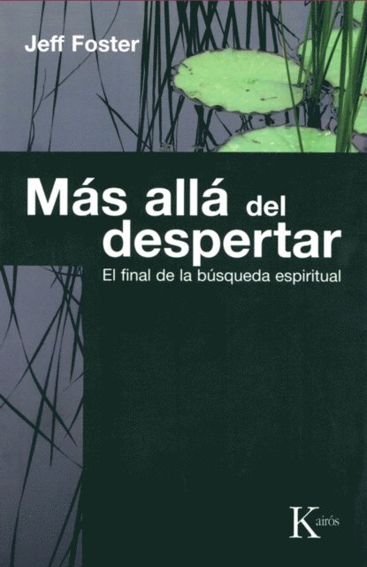 David Gonzalez Raga, Jeff Foster - Más allá del despertar, E-bok