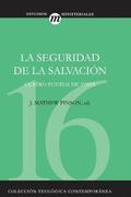 Seguridad de la Salvacin