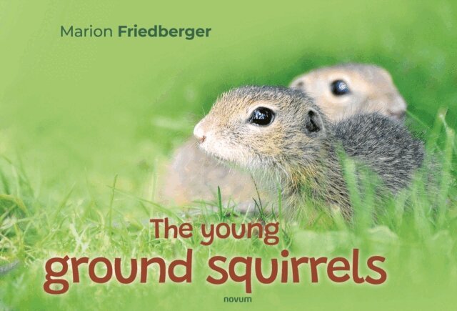 Marion Friedberger - young ground squirrels, E-bok. Tillgänglighet: Lägg i varukorg