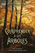 Comprender a los árboles