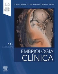 EmbriologÃ¿a clÃ¿nica
